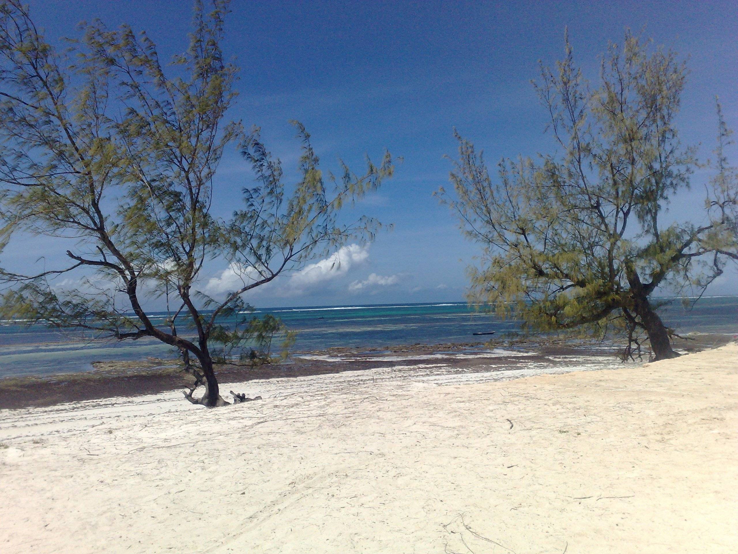 Kilifi, Wybrzeże Kenii, Kenia, największa baza ofert LAST...