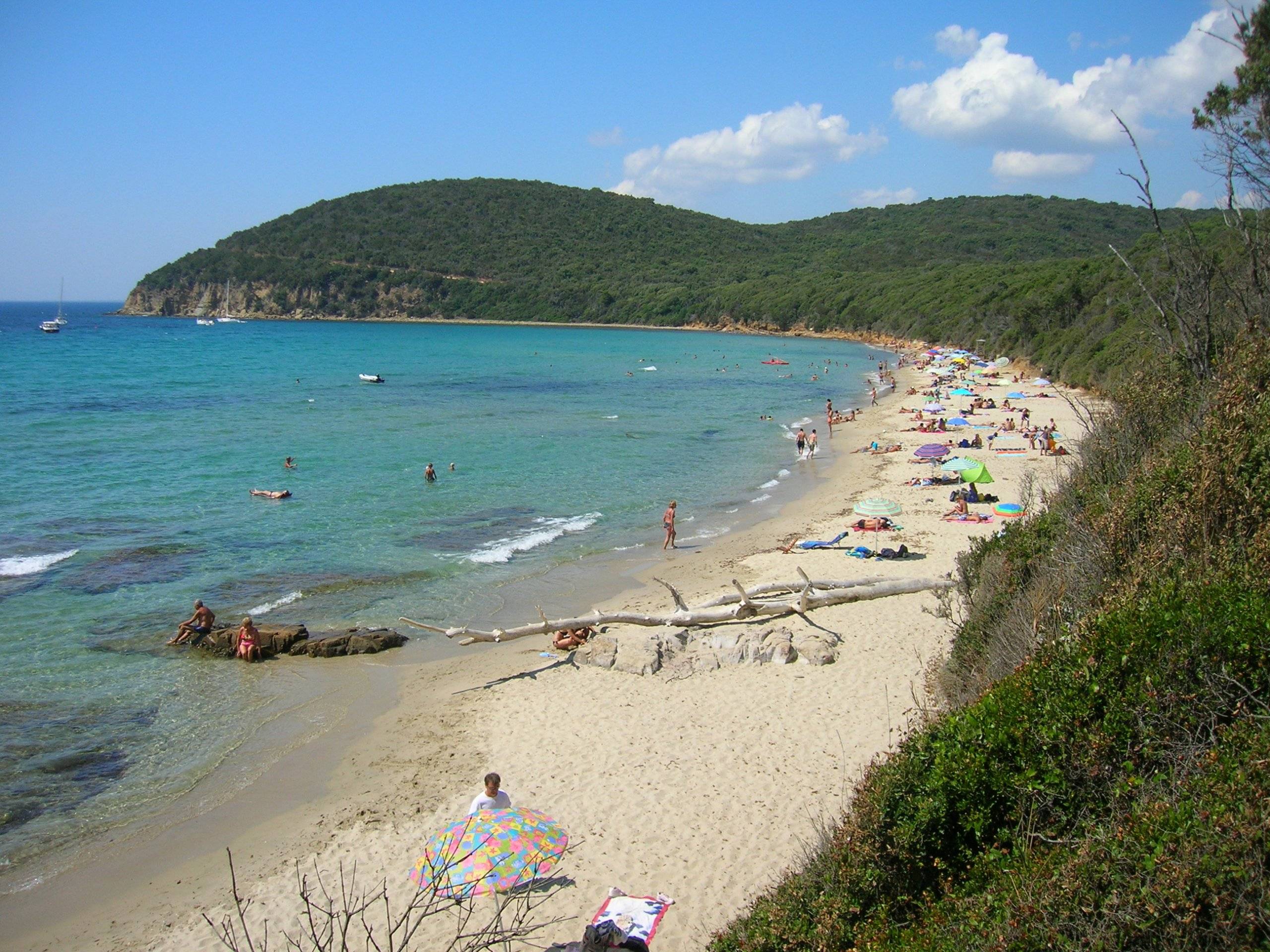 Wiechers Alluminio Puntone Sospensione Posteriore Per VW Golf 6 Anche - Foto 4