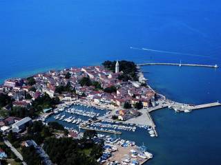 Novigrad