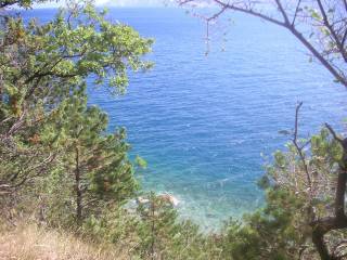Selce