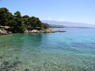 Suha Punta