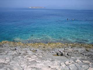 Vela Luka