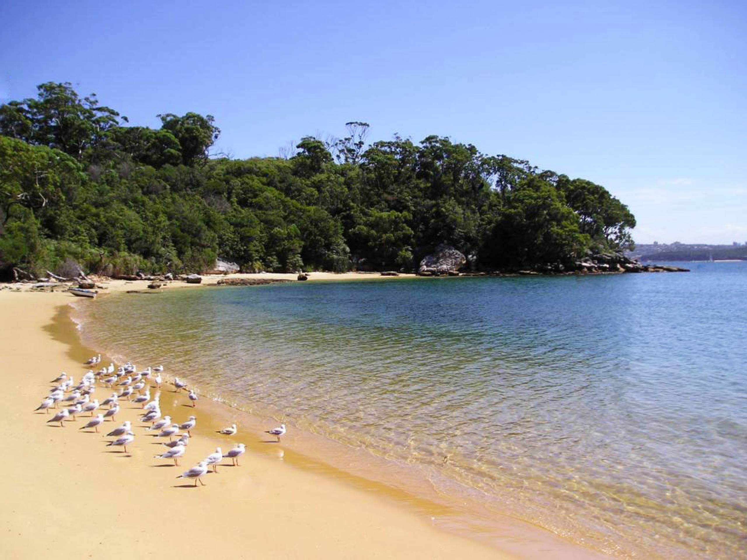 Nowa Poludniowa Walia Australia Najwieksza Baza Ofert Last