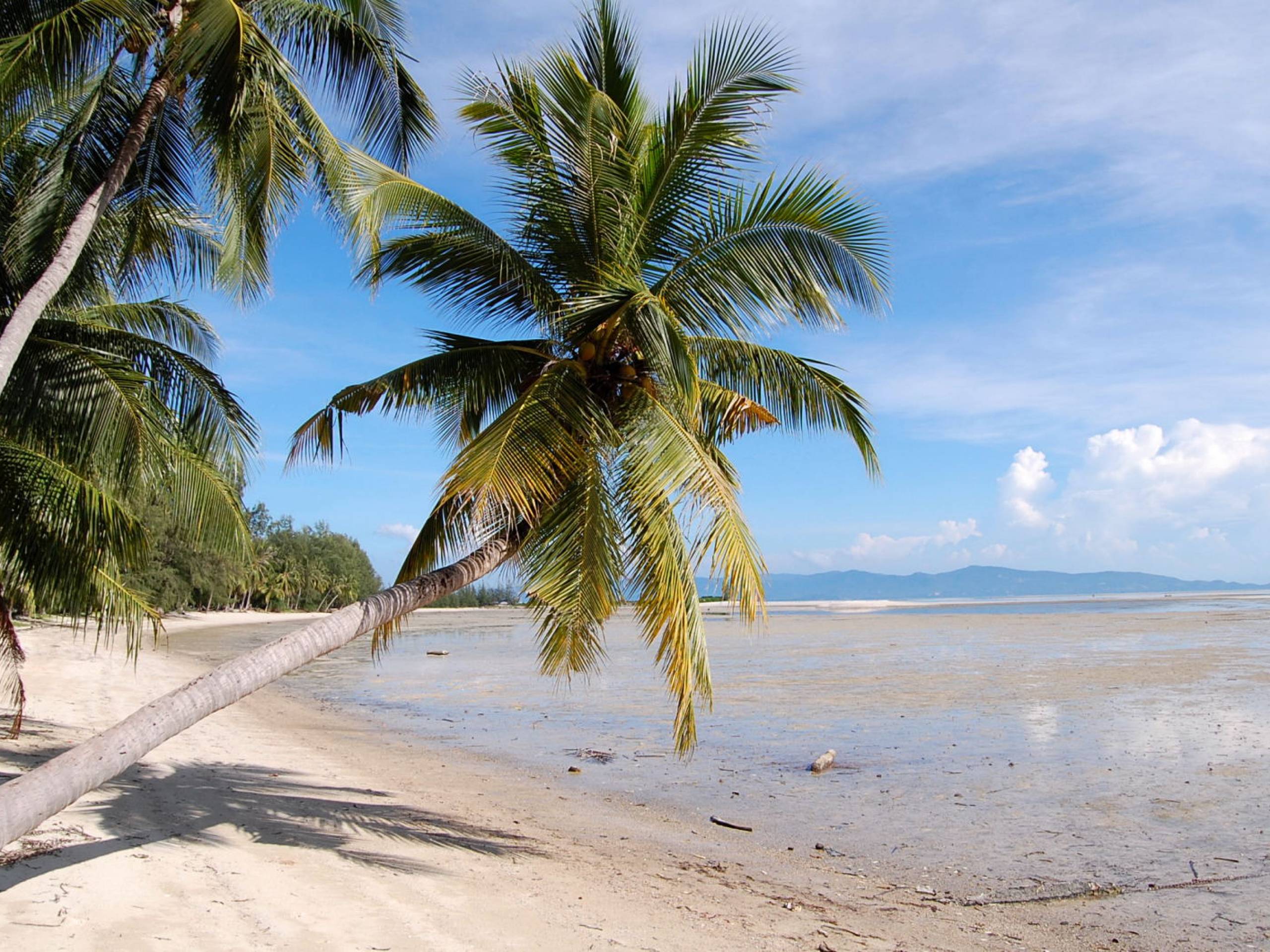 Największa Wyspa W Archipelagu Malajskim Wyspa Koh Phangan, Tajlandia, największa baza ofert LAST...