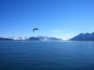 Wyspa Spitsbergen